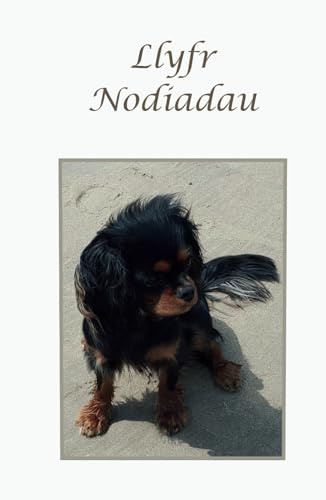 Llyfr Nodiadau A5 Cavalier King Charles Spaniel: LLYFR NODIADAU A5 yn dangos ci Cavalier King Charles Spaniel efo 200 o tudalennau print pawen wedi eu leinio
