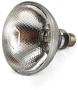 Wärme Lampe Tageslichtlampe E27 Wärmelampe 100-250W 240V Terrarium Hühner Welpen Küken Tiere (175 Watt)