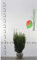 Nicht-Fruchtende Eibe Taxus media Hillii 60-80 cm. 5 Taxus Koniferen. Immergrün