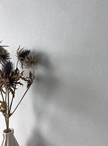 Newroom Vliestapete Grau Uni Modern Tapete Wohnzimmer Schlafzimmer | Hellgrau mit Weißanteil, feine Prägung, leichter Glanzschimmer, Skandinavisch, Minimalistisch, Wandtapete Büro Küche Flur