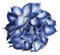 IPOPU Blaue künstliche Calla-Lilien, fühlen sich echt an, blaue Calla-Lilien, Kunstblumen, Arrangement, Blumenstrauß für Zuhause, Garten, Büro, Party, Hochzeit, Blumenstrauß, Tafelaufsätze, Blume,