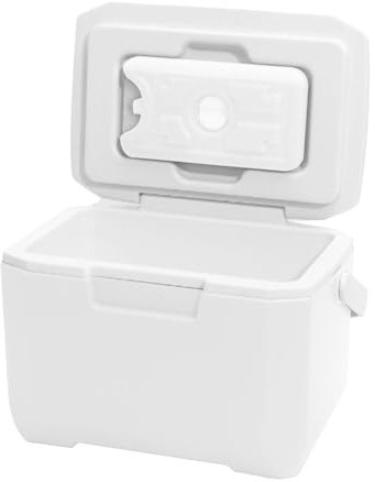 Petit refroidisseur rigide - Refroidisseur portable isolé, Refroidisseur portatif extérieur Refroidisseur de réfrigérateur pour au