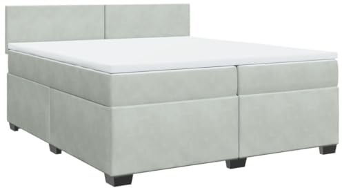 vidaXL Boxspringbett mit Matratze Hellgrau 200x200 cm Samt