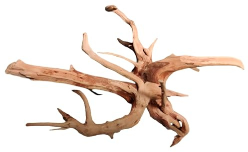 Machify Shaped Rhododendron Root Driftwood, 15.7 in, for Aquariums, Fish Tanks, Reptile Habitats and Micro Landscapes