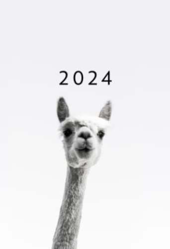 2024: A6 Kalender Mini Planer | 1 Woche auf 2 Seiten | Jan - Dez Wochenplaner | Soft-Cover Alpaka | Kalenderbuch Terminkalender Organizer Wochenkalender Terminplaner Buchkalender Jahresplaner