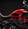 Seitliche Tankprotektoren aus Harz 3D, kompatibel mit Ducati Diavel 1260 / S L-133 (rot)