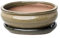 Generic Glazed Ceramic Bonsai Pots with Matching Drip Trays (Olive Green, 18cm)