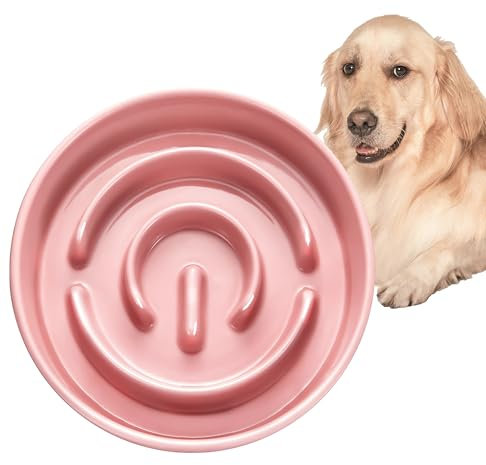 Ceramic Slow Feeder Dog Bowl for Medium and Large Breed, Dog Slow Feeder Bowl for Fast Eaters, Puzzle Dog Bowl to Slow Down Eating, 33oz, Salmon Pink