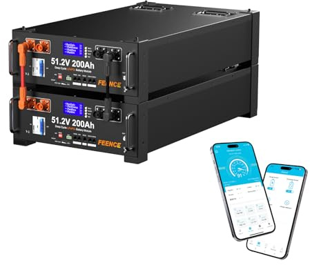 FEENCE 48V 400Ah LiFePO4 Batterie 20.48kWh Stromspeicher und Leistungsschaltern 200A BMS RS485/CAN/RS232 mit Bluetooth/WLAN für die Notstromversorgung zu Hause Netzunabhängige Solaranlagen