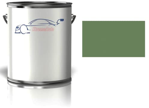 Xtremeauto RAL 6011 Reseda Green 1000ml /1L RAL Paint Tin/Can Matt Matte Finish Paint DIY Indoor/Outdoor Perfect Finish Quick Dry Arts, Crafts, Furniture, Home, Garden