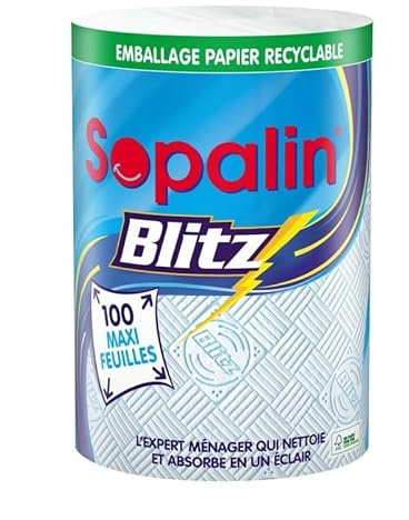 REGINA - Sopalin Essuie-Tout Blitz - Lot De 4 - Vendu Par Lot