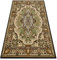 rugsx Teppich BCF Morad WIOSNA Ornament, klassisch, Teppich für Wohnzimmer, Zimmer, Schlafzimmer - Oliv grün 300x400 cm