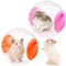YAXIDAEVER 2 Stück Joggingball für Kleintiere,Hamsterball,Spielzeug Hamster Running Ball für Kleintiere, Aktivitätsspielzeug, Fitnessball, Haustiersport