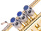 HEAVY Trompete Custom Fingerknöpfe für Yamaha (YTR), Stomvi, Shagerl, Carol Brass und Fides Trompeten, Flügelhorn 631/731, Kornett Modelle (versilbert gebürstet, Lapislazuli)