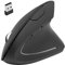 Ergonomic Mouse, 2.4G Wireless Vertical Ergo Mouse Adjustable DPI Silent Carpal Tunnel Mouse, Battery Powered for Laptop, Desktop, PC, Gamer