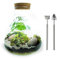 5L Medium Angular Glass Bottle Closed Terrarium Kit with 3 Real Plants, Real Moss and Tool Set