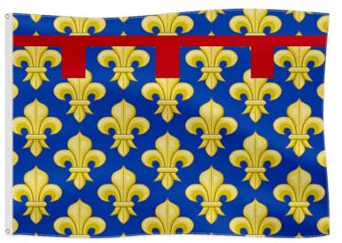 Bandiera Medievale Stemma per Divertimento Outdoor Bandiera Storica (Regno di Napoli)