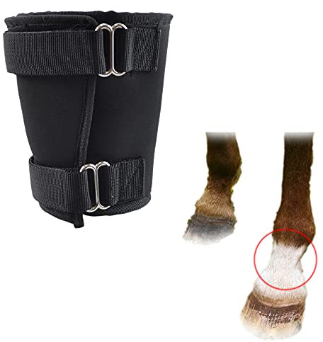 tinkare Coronet Streichschutz für Pferde, Neopren, Dekubitus, Stiefel, Streichwunden
