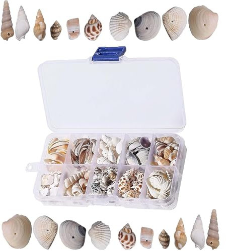 AHEJIOO 150 Stück Muscheln Deko Mit 1 Aufbewahrungsbox, Muscheln Zum Basteln, Muschel, Muschel Deko, Für Vase Füllstoffe, Strand Thema Party Hochzeit Dekor, DIY Kunsthandwerk,Fisch Panzer