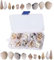 AHEJIOO 150 Stück Muscheln Deko Mit 1 Aufbewahrungsbox, Muscheln Zum Basteln, Muschel, Muschel Deko, Für Vase Füllstoffe, Strand Thema Party Hochzeit Dekor, DIY Kunsthandwerk,Fisch Panzer