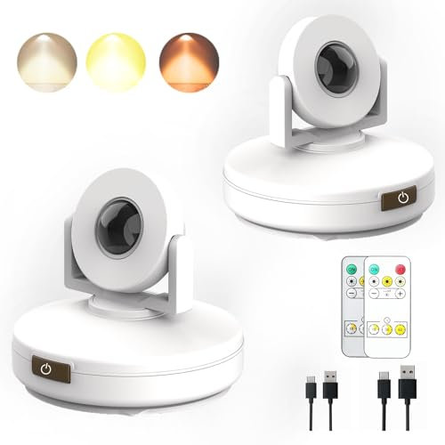 Projecteur d'intérieur LED sans fil,lampe montante rechargeable,lampe photo alimentée par batterie avec télécommande,projecteur à bande avec gradation de minuterie pour Peintures oeuvres décoration