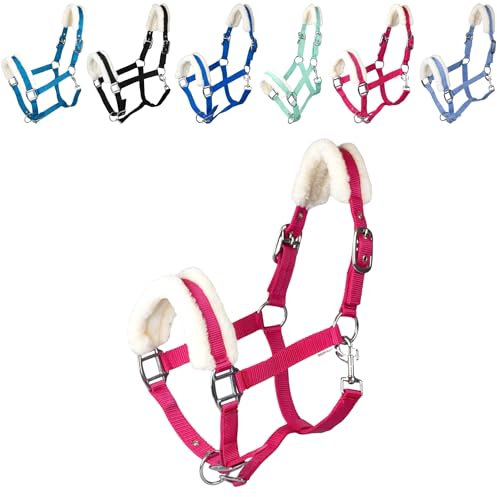 RL24 - Halfter mit Plüschpolsterung Basicline | Halfter für Pferde & Ponys | Pferdehalfter mit nietenverstärkten Verschlüssen & Karabinerhaken zum Öffnen | Pferde Zubehör in Magenta | Warmblut