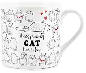 Purely Home Cat Love Anniversary Mug - There's Probably Cat Hair in Here - Fine Bone China White Coffee/Tea Present Romantic Gift