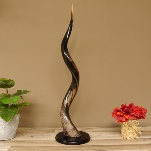 GTK - Geweihe & Trophäen KRUMHOLZ 1 Stück Kudu Aussenhorn glanzpoliert Large auf Ständersockel Neu H 72 cm 80.20.5.10
