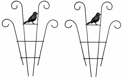 Flueyer 2 Pcs Plant Trellis for Climbing Plants outdoor, Black Coated Fan Pot Trellis with Bird Garden Metal Support Stake for Indoor Outdoor Vines Flower Vegetable