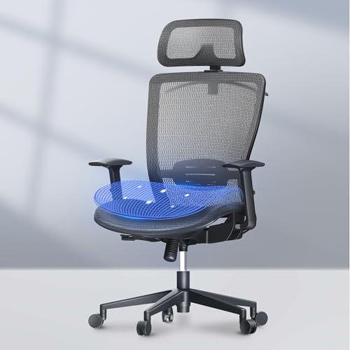 FLEXISPOT Bürostuhl Ergonomisch Schreibtischstuhl Computerstuhl Höhenverstellbarer Sitz Kopfstütze Armlehne Lendenwirbelstütze Lenkrollen Arbeitsstuhl OC3C