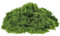 LERANXIN Plante Artificielle, Fausse Mousse Vert Decorative, Mousse Artificielle – 100g Fausse Herbe en Ligne pour Jardins, Miniatures et Decorations Interieures
