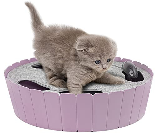 Pawaboo Interactive Cat Toy With Running Mouse, Electronic Motion Automatic Teaser for Indoor Cats, Pop and Play Hide Seek Hunting Mouse for Pet Kitten Play Fun Exercise, Purple