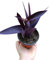pianta vera di Tradescantia pallida purpurea pianta da giardino erba miseria