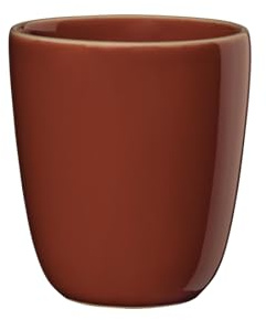 ASA semana Becher Lobster 0,25l