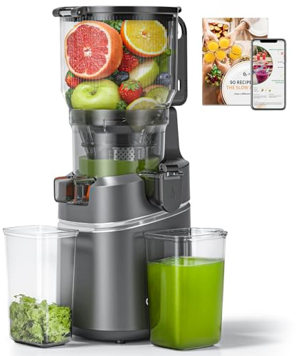 AMZCHEF Cold Press Juicer with 165mm Large Feed Chute, Slow Masticating Juicer for Whole Fruits & Vegetables, Triple Filter, Copper Motor, High Juice Yield, Easy to Clean, Grey