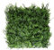XONE Siepe Artificiale Felce 50x50cm | Siepe Finta Foglie realistica | Siepe artificiale effetto Felce …