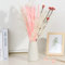 Pampasgras Trockenblumen Deko, Getrocknete Pampasgras-Dekoration, 8 Sorten Blumen für Vase, getrocknete Blumenarrangements für Zuhause, Hochzeit, Tischdekoration(Rosa Blumen)