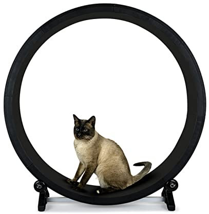 ALIGMA Katzenlaufrad, Durchmesser 128 cm Katzenlaufrad, extremer Katzenlaufrad-Übungsspieltrainer for Katzen