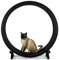 ALIGMA Katzenlaufrad, Durchmesser 128 cm Katzenlaufrad, extremer Katzenlaufrad-Übungsspieltrainer for Katzen