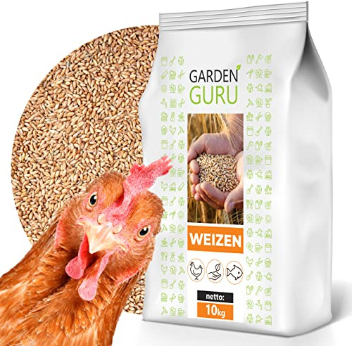 GardenGuru Weizen Futter 10kg Huhnerfutter Nagerfutter, Kaninchenfutter Weizenkörner Getreide Korn Essen Wildvögel Kaninchenfutter