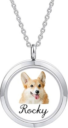 INBLUE Collier Flottant Médaillon Personnalisé pour Femme Pendentif Rond Gravé Photo/Texte Pendentif en Acier Inoxydable et Verre avec Pierre de Naissance Cadeau pour Anniversaire (A4 - Argent)