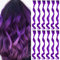 Violett Farbige Haarverlängerungen Clip In für Mädchen 17 Zoll Bunte Lockige Gewellte Haarverlängerungen für Party Highlight Haar Zubehör Haarteile für Kinder Frauen (12 PCS Violett)