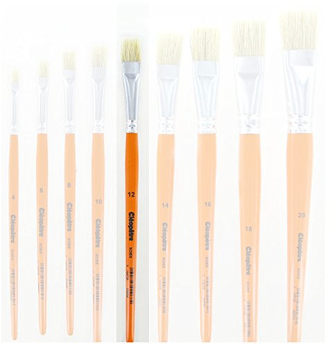 Cléopâtre 65553 Flat Brush Glue Plastic Assorted Colours