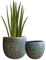Olly & Rose Set di vasi per piante in ceramica verde oro 2-17 e 14 cm verde acqua oro fioriere da interni in cemento vasi da fiori esterni