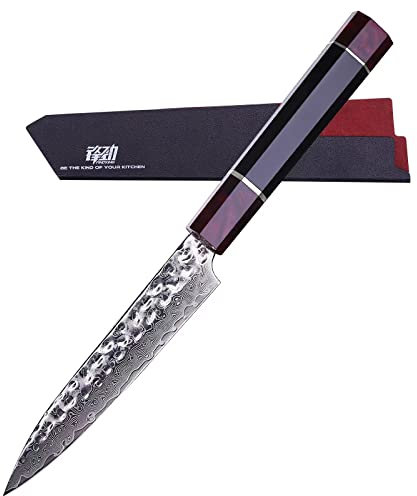 FINDKING Série Eternité, Couteau utilitaire de cuisine avec étui en ABS, Couteau d'office japonais multi-usages, Lame en acier Damas, Petit, pour les fruits et légumes, 5 pouces/12CM