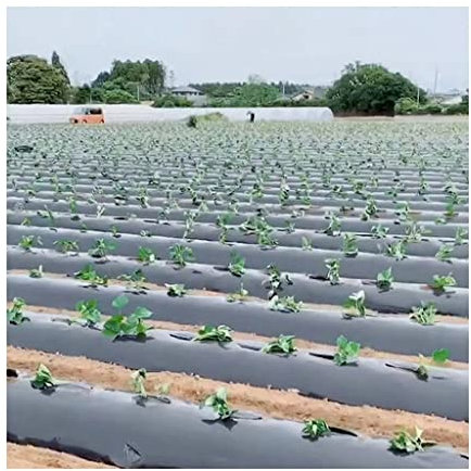 JOSUR Mattenstoff, for Pflanzengras, Outdoor, Garten, Bodendecker, Barrierematte, Obstgarten, feuchtigkeitsspendende Stoffe(10x0.95m)