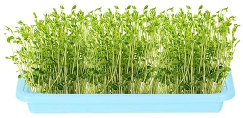 Mxshc Bandeja de vivero para plantas | Bandeja de cultivo sin tierra para germinación de plántulas, microgreens y iniciador de plántulas, cultivador saludable de pasto de trigo y planta de