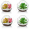Glas Luft Pflanze Terrarium, 10cm Mini Terrarium, 4 Stück Tisch Glas Terrarium Behälter, Tischplatte Display Vase Topf Innendekor für Sukkulente, Kaktus, Kerze