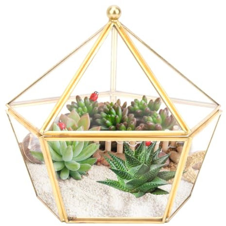 Jenngaoo Mini Glass Geometric Terrarium, 6,3 Zoll Luft Pflanzenhalter Fensterbank Dekor Regal Regal Pflanzer Glas Blumentopf Sukkulenten Behälter Kakteen Farn Topf
