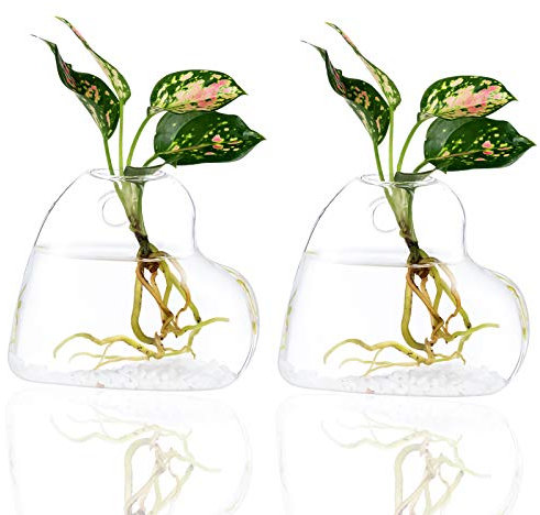 Kingbuy Confezione da 2 terrari da parete in vetro da appendere a forma di cuore, per interni, casa, ufficio, soggiorno, vaso decorativo per piante grasse